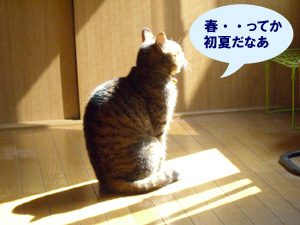 070512.jpg