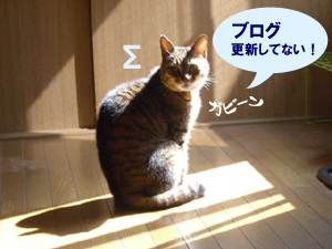 070512_2.jpg